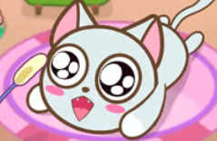 My Little Cat